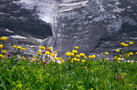 Switzerland