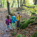 autumn_2015-04089.jpg