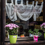 autumn2016-01516.jpg