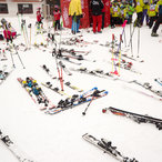 2017_winter-13.jpg