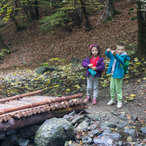 autumn_2015-04092.jpg