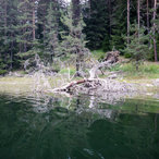 beglika_2016-00669.jpg