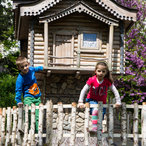 spring_2015-09890.jpg