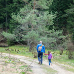 trigrad_2016-02147.jpg