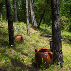 skandaloto_2016-06647.jpg