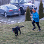 2018_triavna-2.jpg