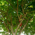 nwbg_2017-55.jpg