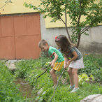 enina_2015-01506.jpg