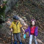autumn_2015-04087.jpg