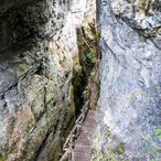 trigrad_2016-02158.jpg