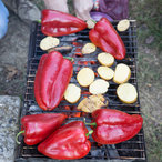 zhrebchevo_2016-01138.jpg