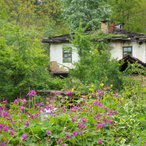 skandaloto_2016-06571.jpg