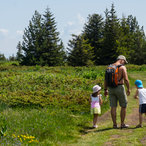 summer_2015-01402.jpg