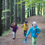 autumn_2015-04083.jpg