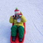 2014_witner-00888.jpg