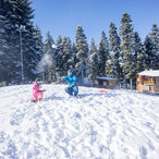 christmas_2017-19.jpg