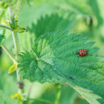 2014_spring-03737.jpg
