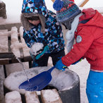 winter2014-08612.jpg