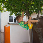enina_2015-01529.jpg