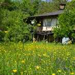 skandaloto_2016-06632.jpg