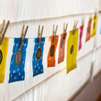 winter2014-07775.jpg