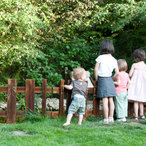 hbp32_DSC_2971.jpg