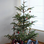 kids_001_DSC_4205.JPG
