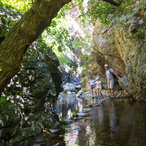 enina_2017-10.jpg
