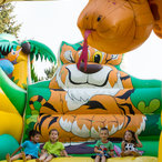 dia_viki_halkidiki_sikia_2014-06300.jpg