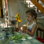 2016_enina-1.jpg