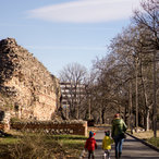 hissar_2014_winer-07999.jpg