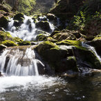 bg_northwest_2016-06321.jpg