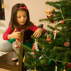 christmas_2015-04997.jpg