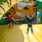 spring_2015-09940.jpg
