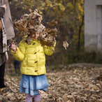 2014_fall-07726.jpg
