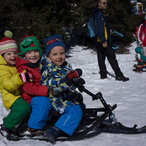 2014_witner-01281.jpg