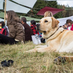 beglika_2016-00571.jpg