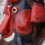 kukeri_2015-09035.jpg