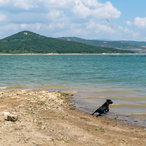 2018_zhrebchevo-25.jpg
