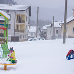 winter2014-08579.jpg