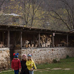 2014_fall-07697.jpg
