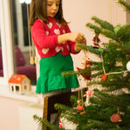 christmas_2015-05001.jpg