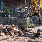 2013_kids10_DSC_6311.jpg