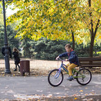 autumn2016-01477.jpg