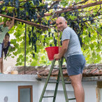 2018_autumn-13.jpg