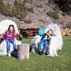 trigrad_2016-02131.jpg