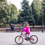 autumn2016-01466.jpg