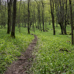 2014_ledenika-03372.jpg