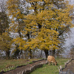 2014_fall-07715.jpg