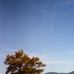 tzari_mali-07567.jpg